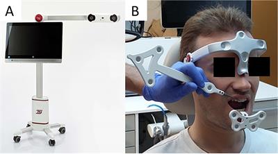 Finite element analysis of dental structures: the role of mandibular kinematics and model complexity